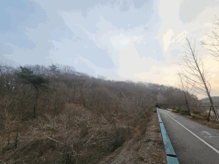 전라남도 광양시 광양읍 세풍리 산128-2 임야 경매 사진 1