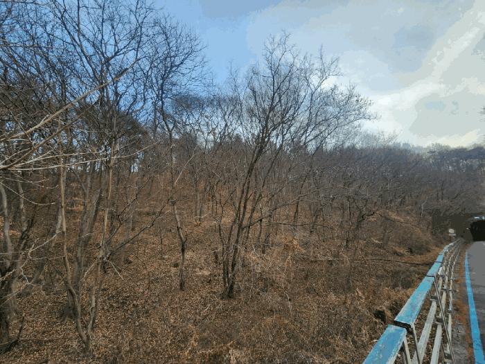 전라남도 광양시 광양읍 세풍리 산128-2 임야 경매 사진 2