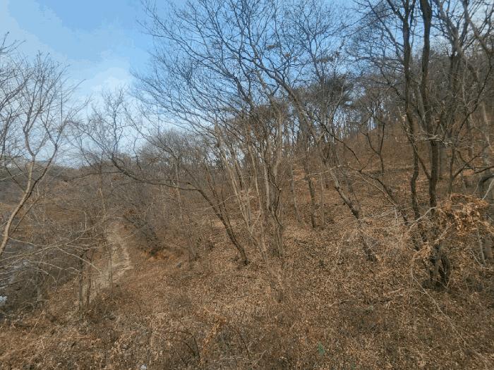 전라남도 광양시 광양읍 세풍리 산128-2 임야 경매 사진 3