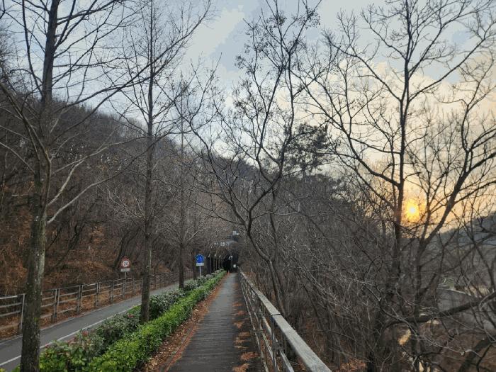 전라남도 광양시 광양읍 세풍리 산128-2 임야 경매 사진 4