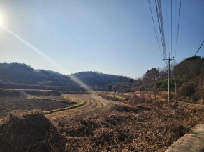 전라남도 광양시 광양읍 세풍리 산128-2 임야 경매 사진 5