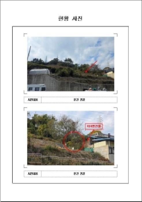 전라남도 목포시 대양동 443-1 전 경매 사진 5