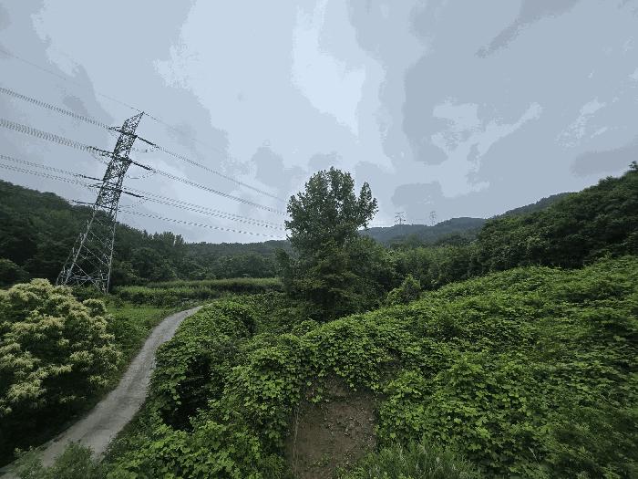 전라남도 광양시 옥곡면 수평리 산169-9 임야 경매 사진 6