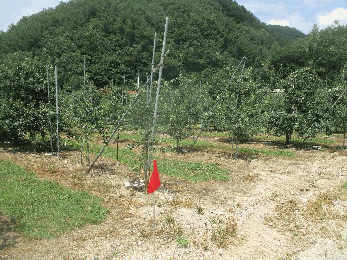 경상북도 포항시 북구 죽장면 석계리 233 전 경매 사진 3