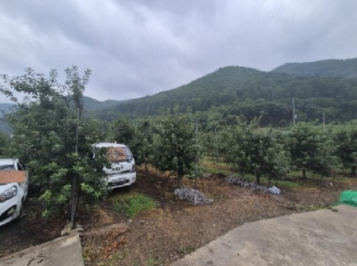 경상북도 포항시 북구 죽장면 석계리 233 전 경매 사진 5