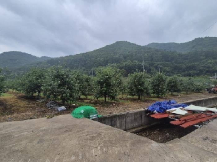 경상북도 포항시 북구 죽장면 석계리 233 전 경매 사진 6