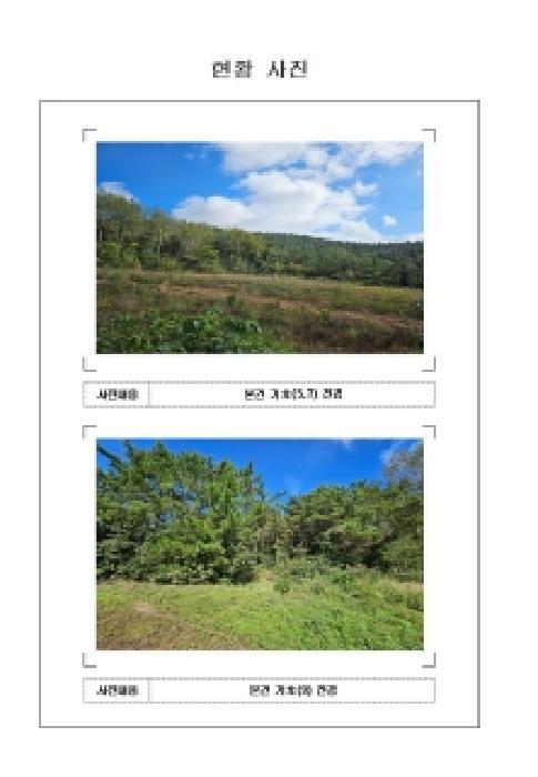 전라남도 신안군 압해읍 대천리 795-5 임야 경매 사진 13