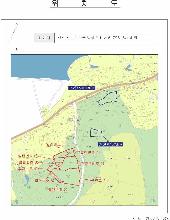 전라남도 신안군 압해읍 대천리 795-5 임야 경매 사진 14