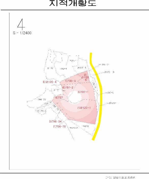 전라남도 신안군 압해읍 대천리 795-5 임야 경매 사진 15
