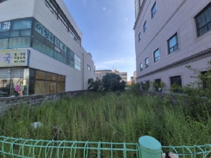 경상북도 포항시 북구 죽도동 646-13 대지 경매 사진 6