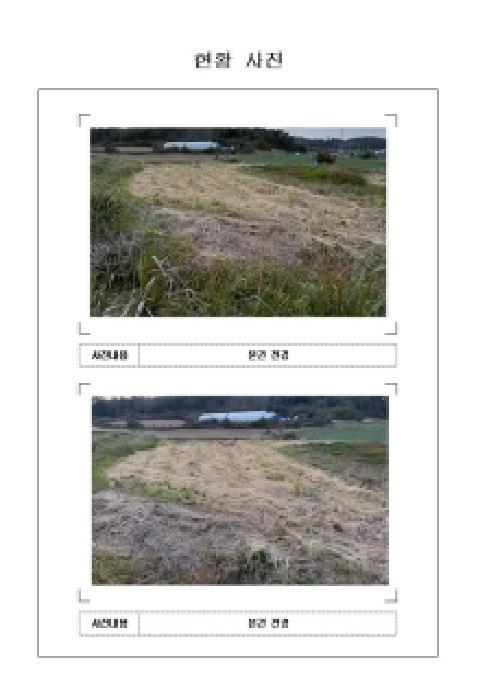 전라남도 신안군 압해읍 고이리 713 답 경매 사진 4