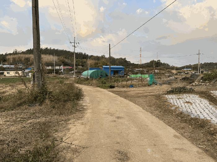 전라남도 신안군 압해읍 고이리 713 답 경매 사진 5