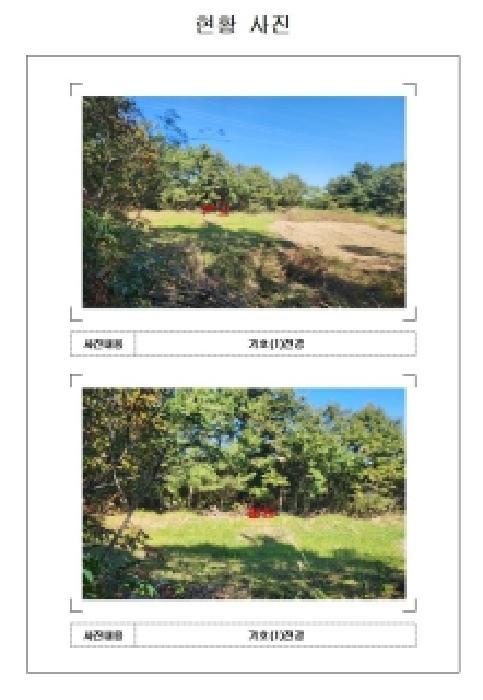 전라남도 영암군 삼호읍 동호리 425 전 경매 사진 5