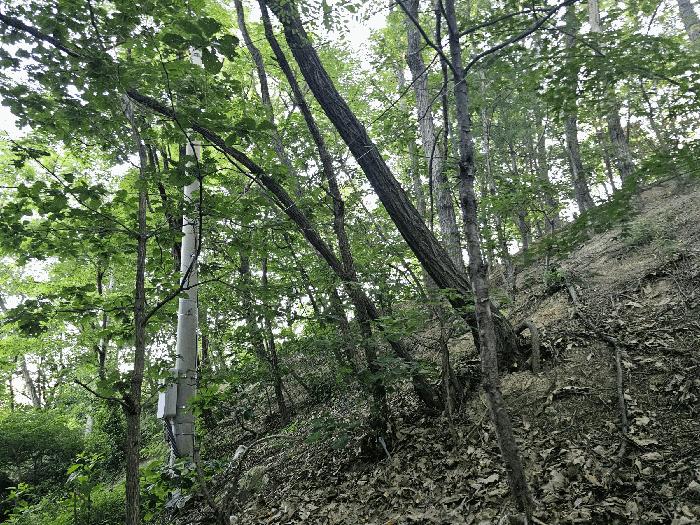 경상북도 포항시 북구 흥해읍 대련리 산133-10 임야 경매 사진 4