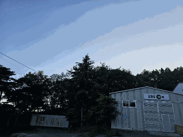 경상북도 포항시 북구 흥해읍 대련리 산133-10 임야 경매 사진 5