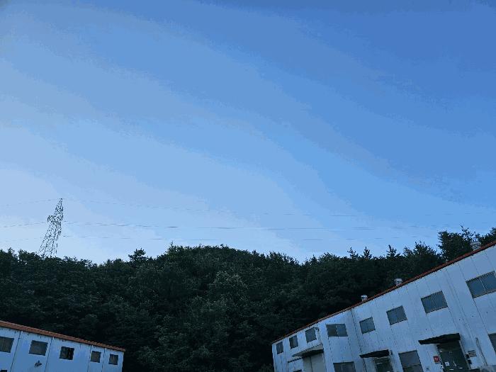 경상북도 포항시 북구 흥해읍 대련리 산133-10 임야 경매 사진 6