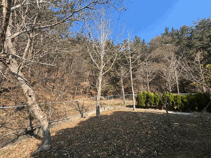 부산광역시 해운대구 석대동 산7 임야 경매 사진 2