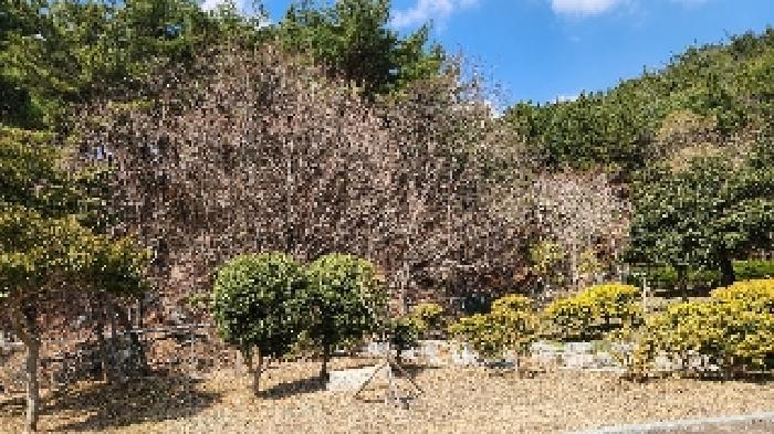 부산광역시 해운대구 석대동 산7 임야 경매 사진 3