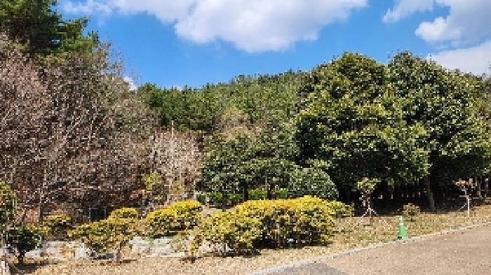 부산광역시 해운대구 석대동 산7 임야 경매 사진 5