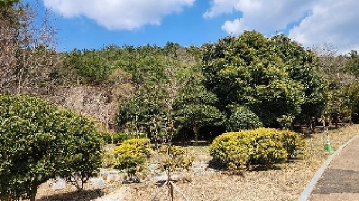 부산광역시 해운대구 석대동 산7 임야 경매 사진 6