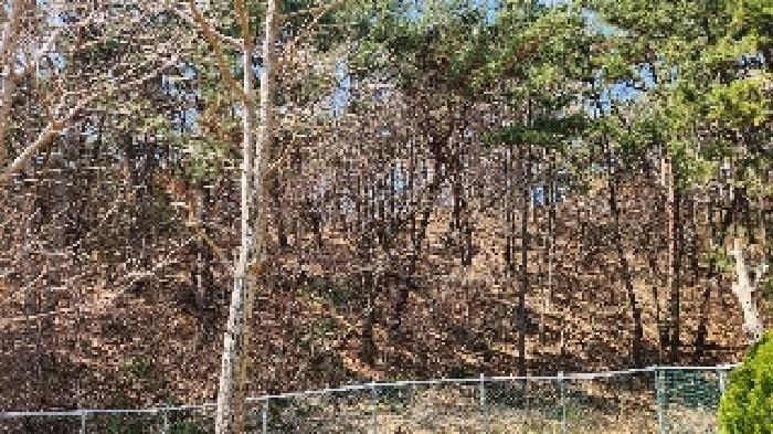 부산광역시 해운대구 석대동 산7 임야 경매 사진 7