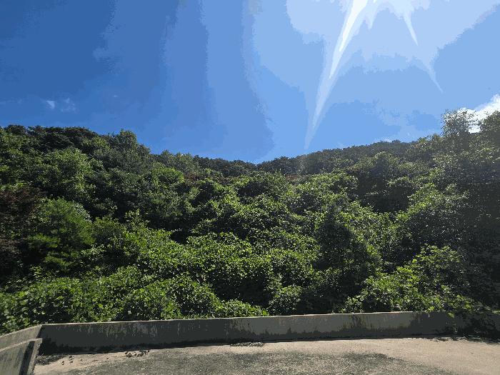 전북특별자치도 정읍시 산내면 종성리 985 주택 경매 사진 4