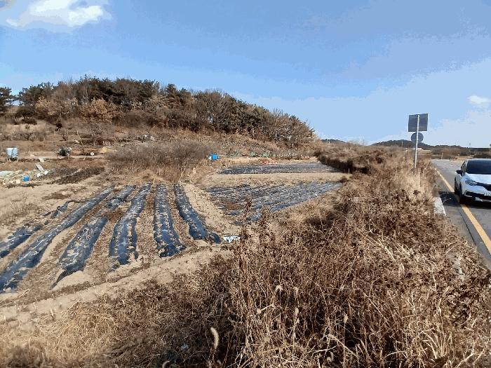 전라남도 광양시 황길동 1095-5 답 경매 사진 1