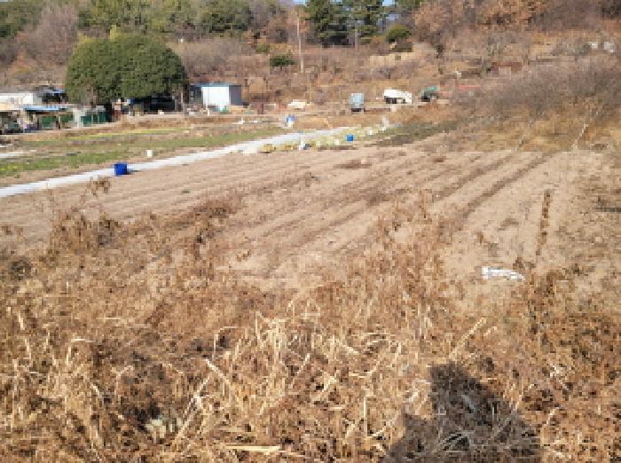 전라남도 광양시 황길동 1095-5 답 경매 사진 5