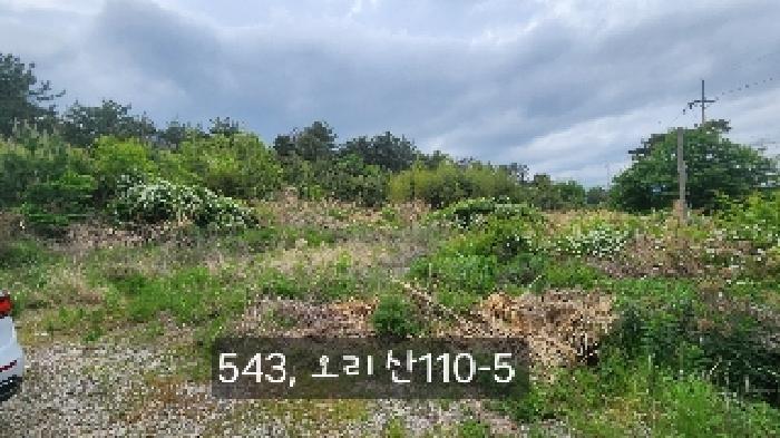 부산광역시 기장군 장안읍 오리 산110 임야 경매 사진 11