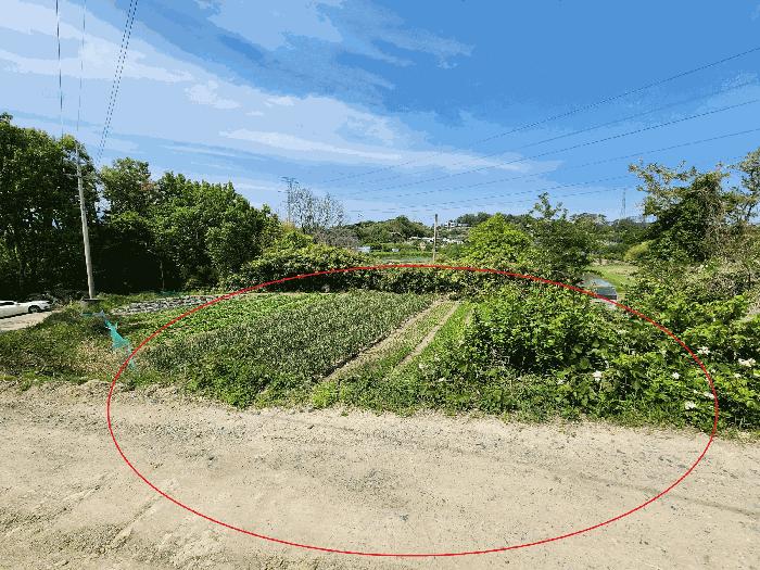 부산광역시 기장군 장안읍 오리 산110 임야 경매 사진 2