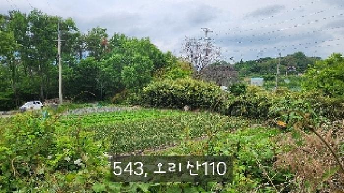 부산광역시 기장군 장안읍 오리 산110-5 임야 경매 사진 9