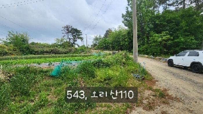 부산광역시 기장군 장안읍 오리 산110-5 임야 경매 사진 8