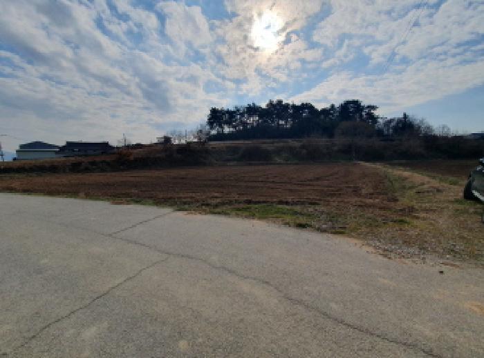 전북특별자치도 김제시 봉남면 종덕리 235 전 경매 사진 7