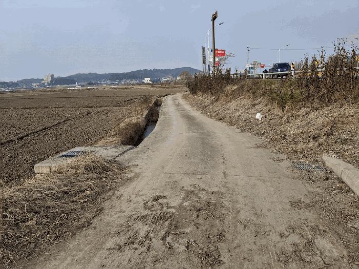 전북특별자치도 부안군 행안면 신기리 56-4 답 경매 사진 3