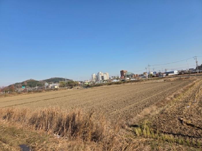 전북특별자치도 부안군 행안면 신기리 56-4 답 경매 사진 6