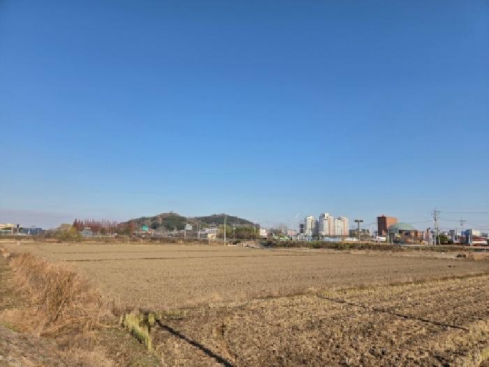 전북특별자치도 부안군 행안면 신기리 56-4 답 경매 사진 7