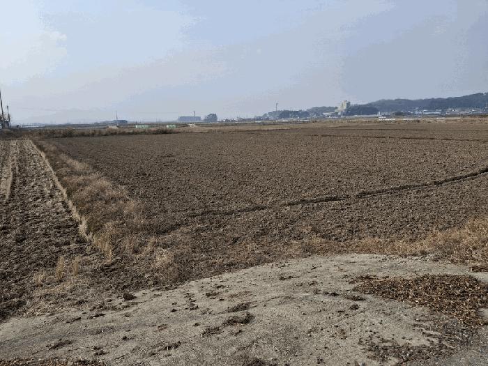 전북특별자치도 부안군 행안면 신기리 56-4 답 경매 사진 8