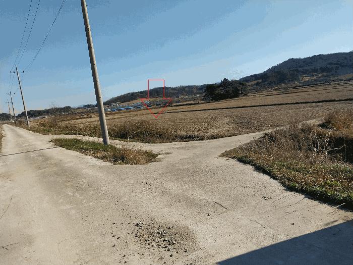 전북특별자치도 고창군 공음면 덕암리 1365 답 경매 사진 3