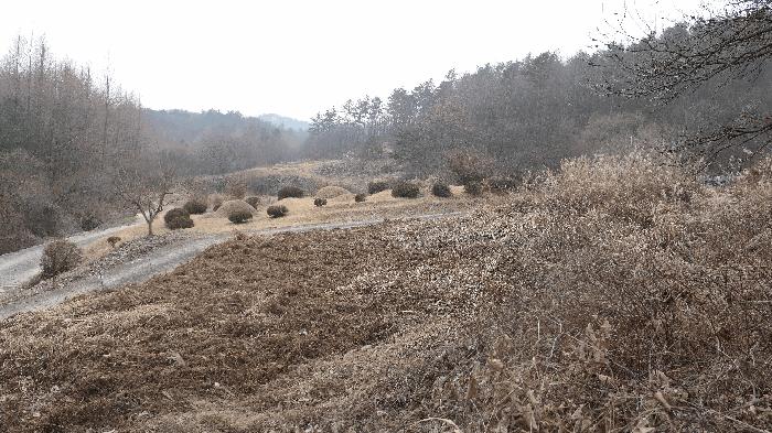 전북특별자치도 진안군 진안읍 반월리 1094-4 전 경매 사진 2