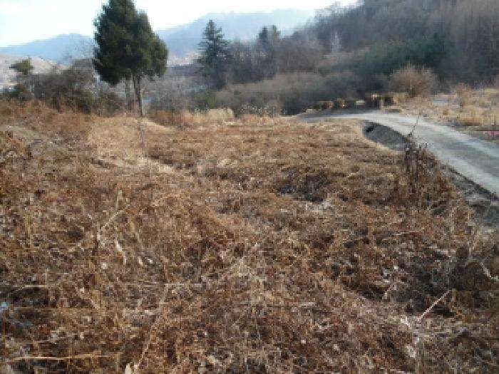 전북특별자치도 진안군 진안읍 반월리 1017-1 답 경매 사진 10