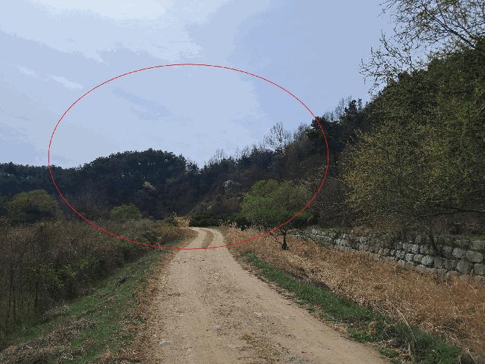 전북특별자치도 완주군 소양면 죽절리 산98 임야 경매 사진 14