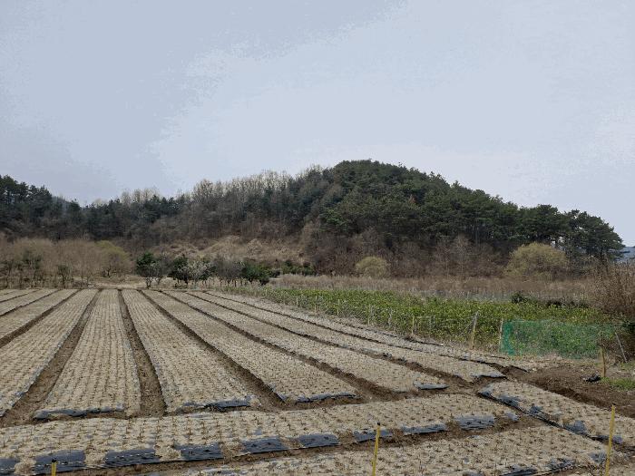 전북특별자치도 완주군 소양면 죽절리 산98 임야 경매 사진 2