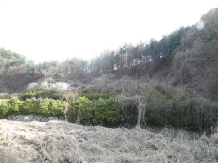 전북특별자치도 완주군 소양면 죽절리 산98 임야 경매 사진 20