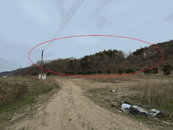 전북특별자치도 완주군 소양면 죽절리 산98 임야 경매 사진 5