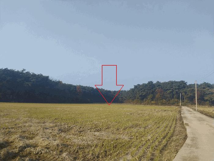 전북특별자치도 부안군 줄포면 줄포리 546-152 답 경매 사진 1