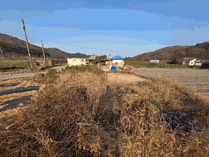 전북특별자치도 부안군 변산면 운산리 146 전 경매 사진 3