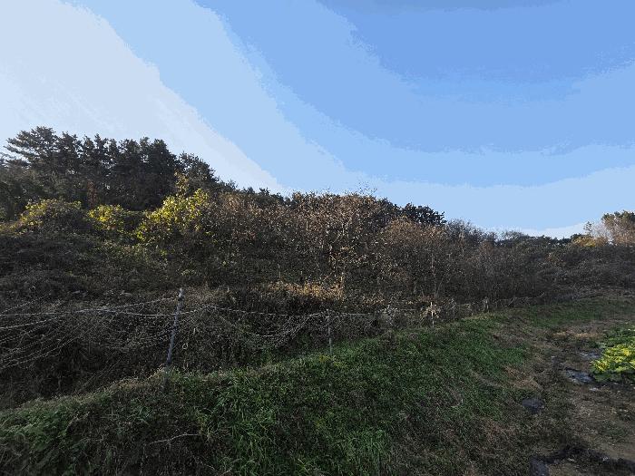 전북특별자치도 부안군 변산면 운산리 146 전 경매 사진 6