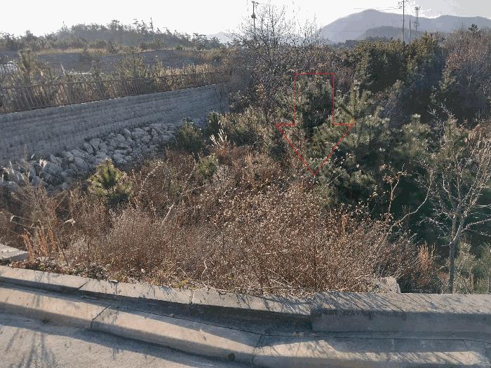 전북특별자치도 부안군 변산면 운산리 671 도로 경매 사진 5