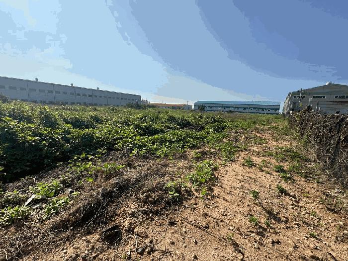 전북특별자치도 김제시 백산면 부거리 1570-8 공장용지 경매 사진 3
