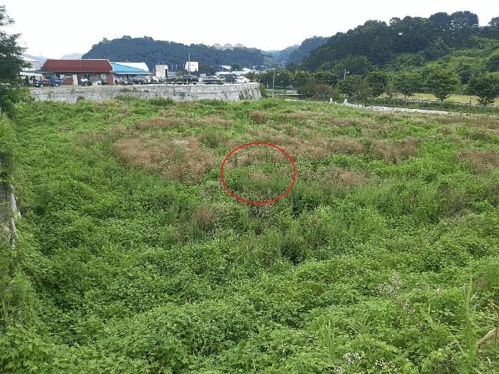 전북특별자치도 진안군 진안읍 군하리 359 전 경매 사진 2